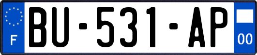 BU-531-AP