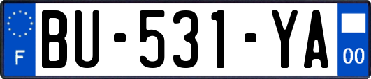 BU-531-YA