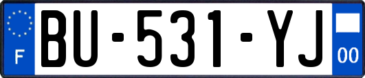 BU-531-YJ