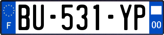BU-531-YP
