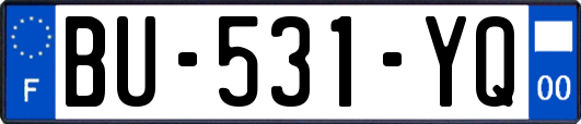 BU-531-YQ