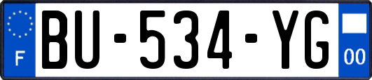 BU-534-YG