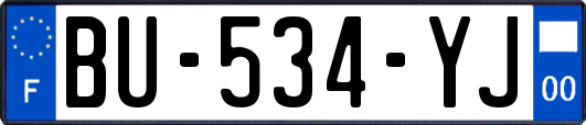 BU-534-YJ