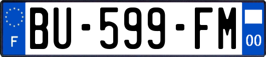 BU-599-FM