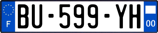 BU-599-YH