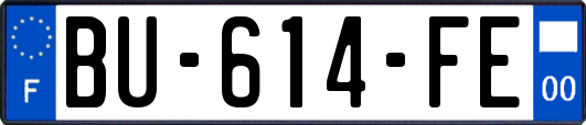 BU-614-FE