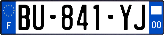 BU-841-YJ