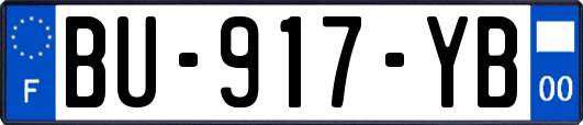 BU-917-YB
