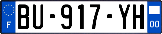 BU-917-YH