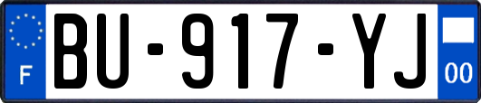 BU-917-YJ