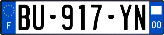 BU-917-YN