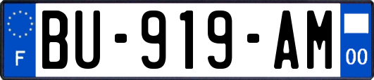 BU-919-AM