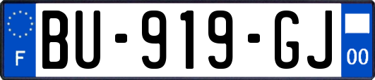 BU-919-GJ
