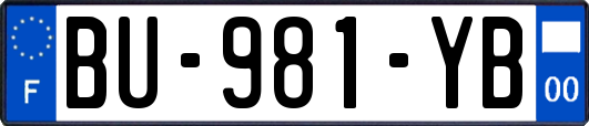 BU-981-YB