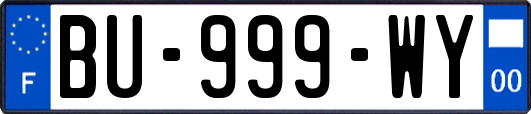 BU-999-WY