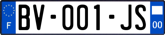 BV-001-JS