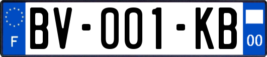 BV-001-KB