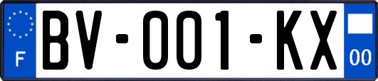 BV-001-KX