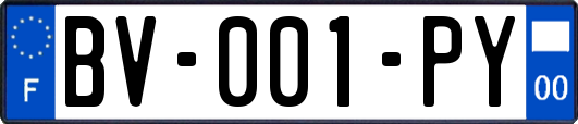 BV-001-PY