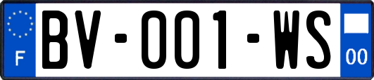 BV-001-WS