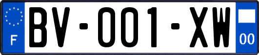 BV-001-XW