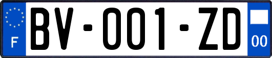 BV-001-ZD