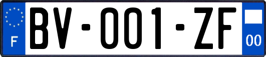 BV-001-ZF