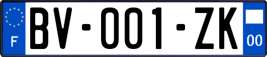 BV-001-ZK