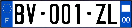 BV-001-ZL