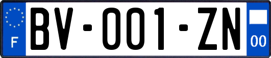 BV-001-ZN