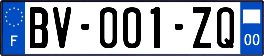 BV-001-ZQ