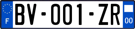 BV-001-ZR