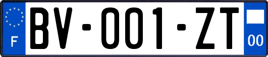 BV-001-ZT