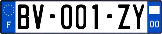 BV-001-ZY