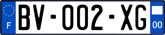BV-002-XG