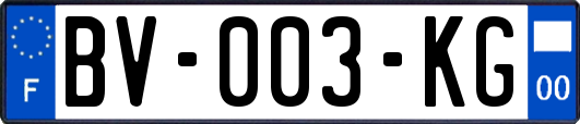 BV-003-KG