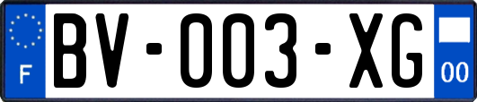 BV-003-XG