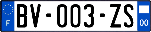 BV-003-ZS