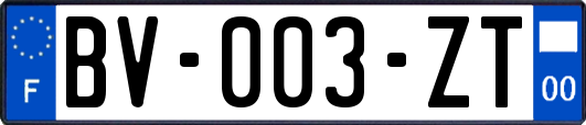 BV-003-ZT