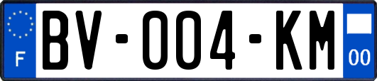 BV-004-KM