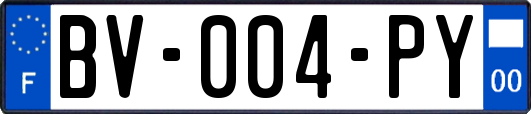 BV-004-PY