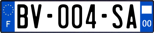 BV-004-SA