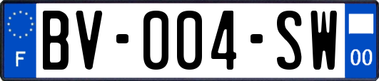 BV-004-SW