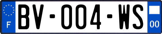 BV-004-WS