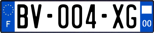 BV-004-XG