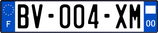 BV-004-XM