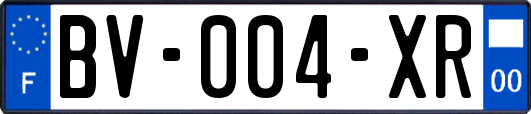 BV-004-XR