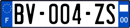 BV-004-ZS