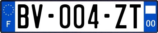 BV-004-ZT