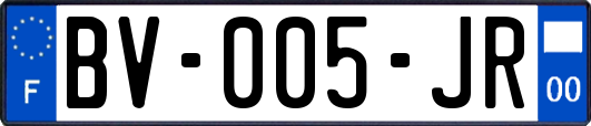 BV-005-JR